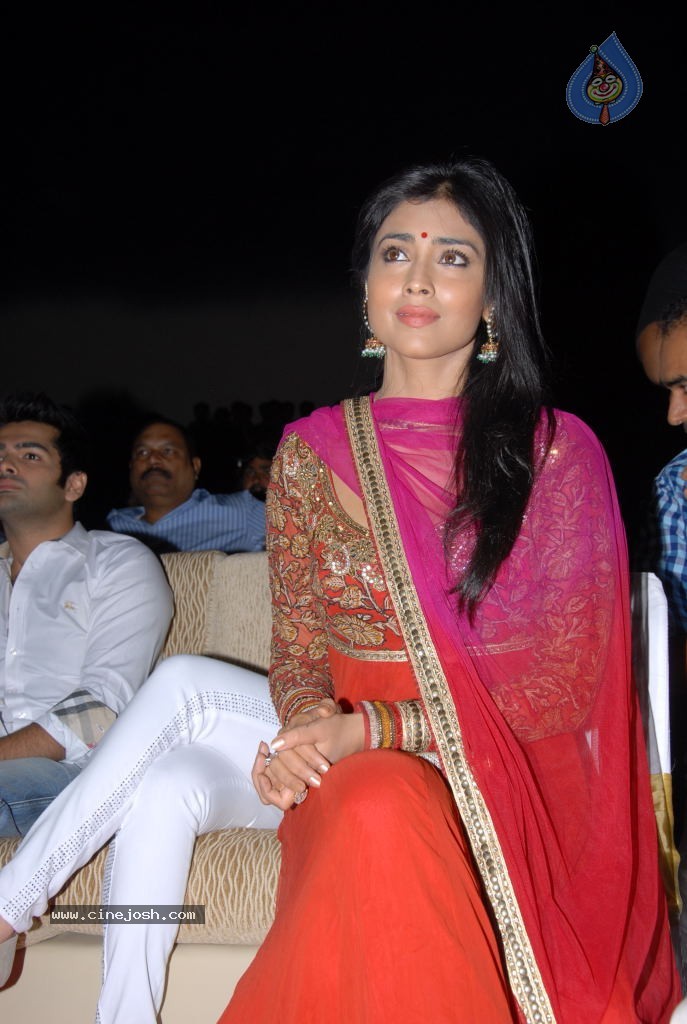 Shriya Saran New Stills - 30 / 42 photos