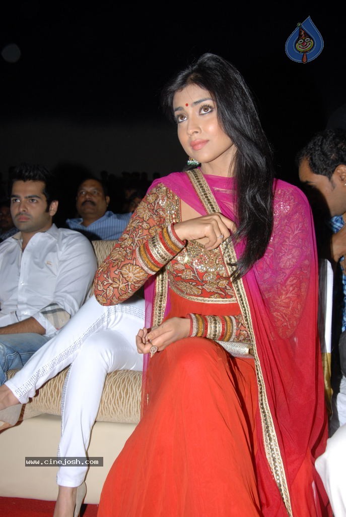 Shriya Saran New Stills - 32 / 42 photos