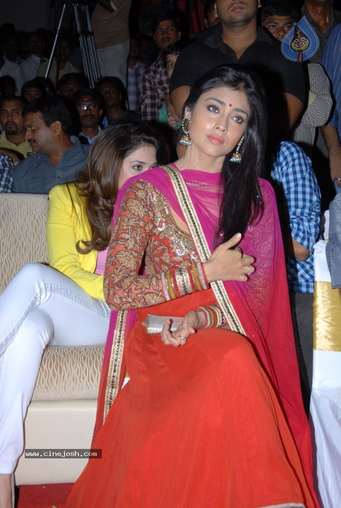 Shriya Saran New Stills - 36 / 42 photos