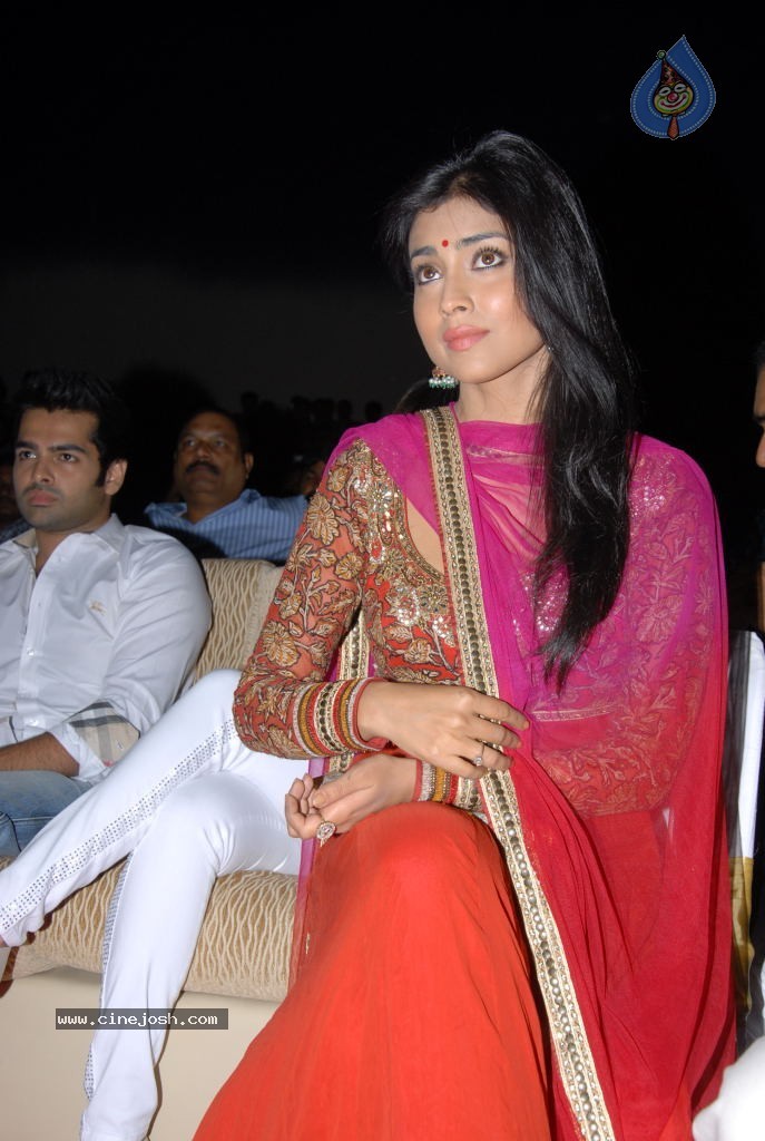 Shriya Saran New Stills - 39 / 42 photos