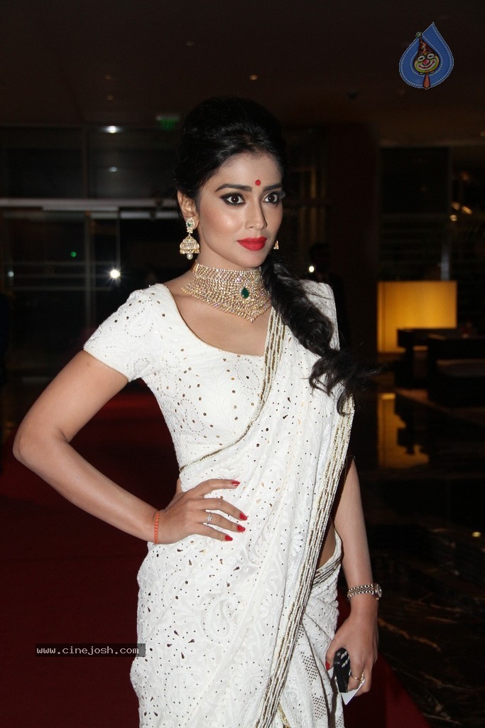 Shriya Saran Spicy Stills - 16 / 111 photos