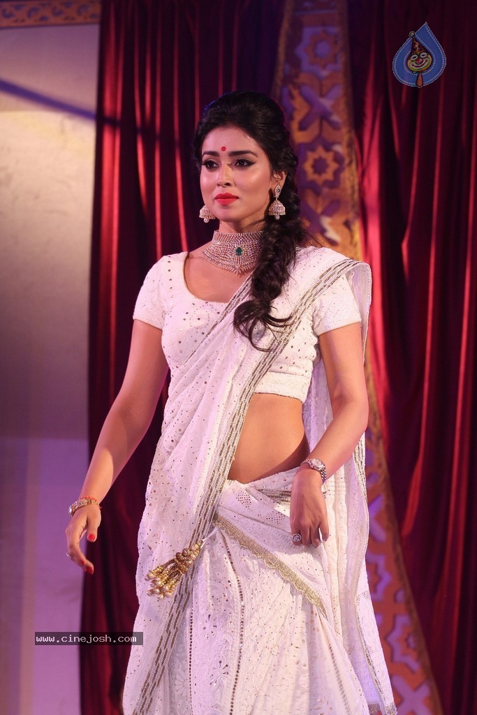 Shriya Saran Spicy Stills - 47 / 111 photos