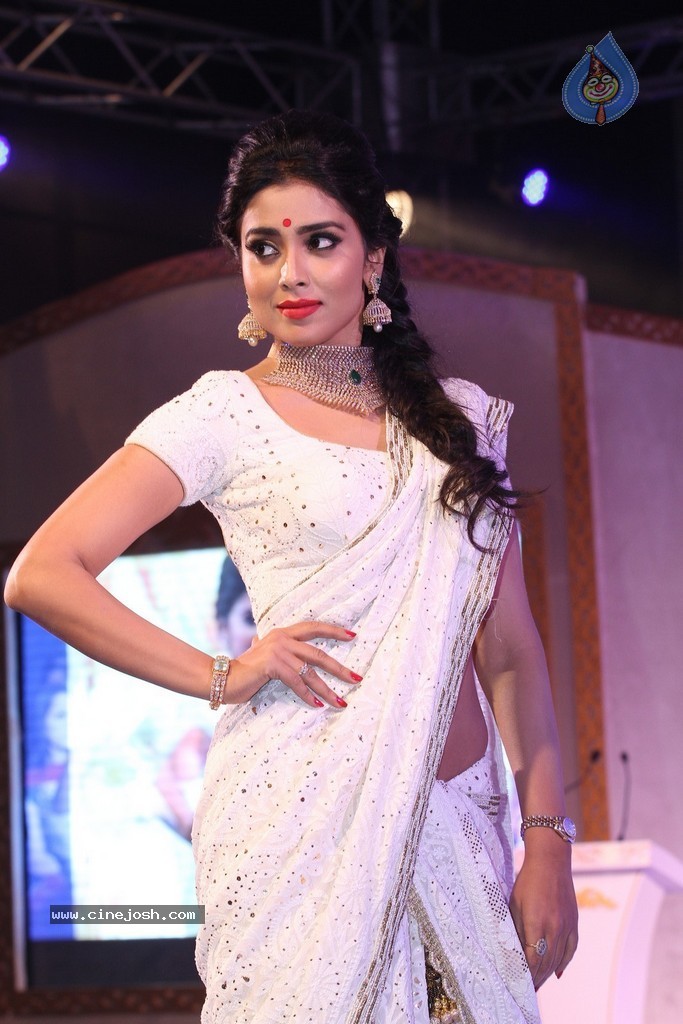 Shriya Saran Spicy Stills - 94 / 111 photos