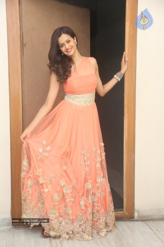 Shubra Aiyappa New Gallery - 75 / 108 photos
