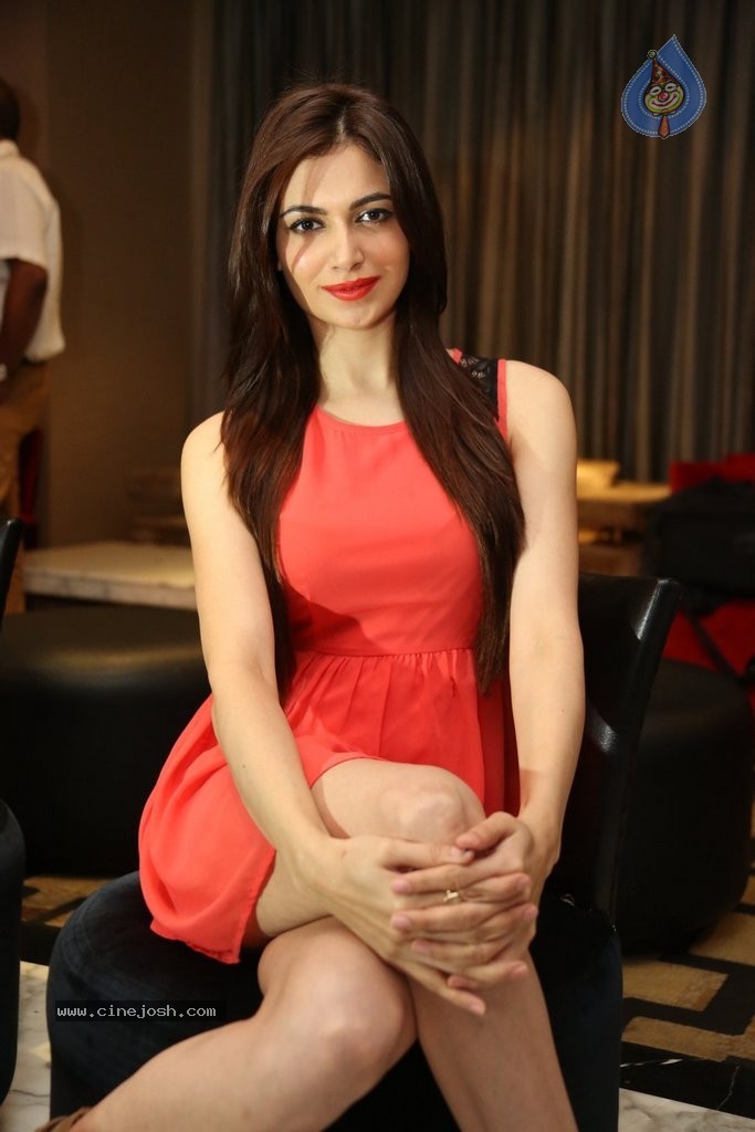 Simran Kaur Mundi New Stills - 89 / 136 photos