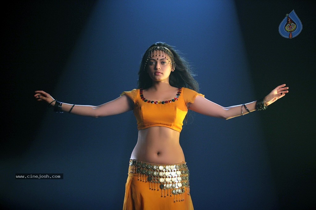 Sneha Ullal Hot Stills in Action 3D - 6 / 34 photos