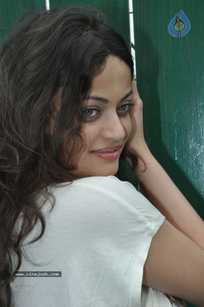 Sneha Ullal Latest Stills - 15 / 43 photos
