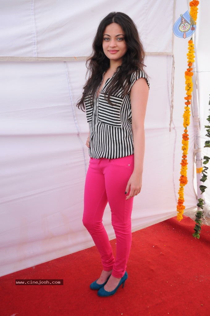 Sneha Ullal New Photos - 2 / 71 photos