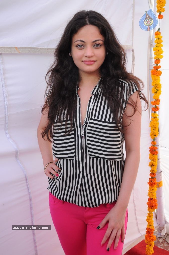 Sneha Ullal New Photos - 36 / 71 photos