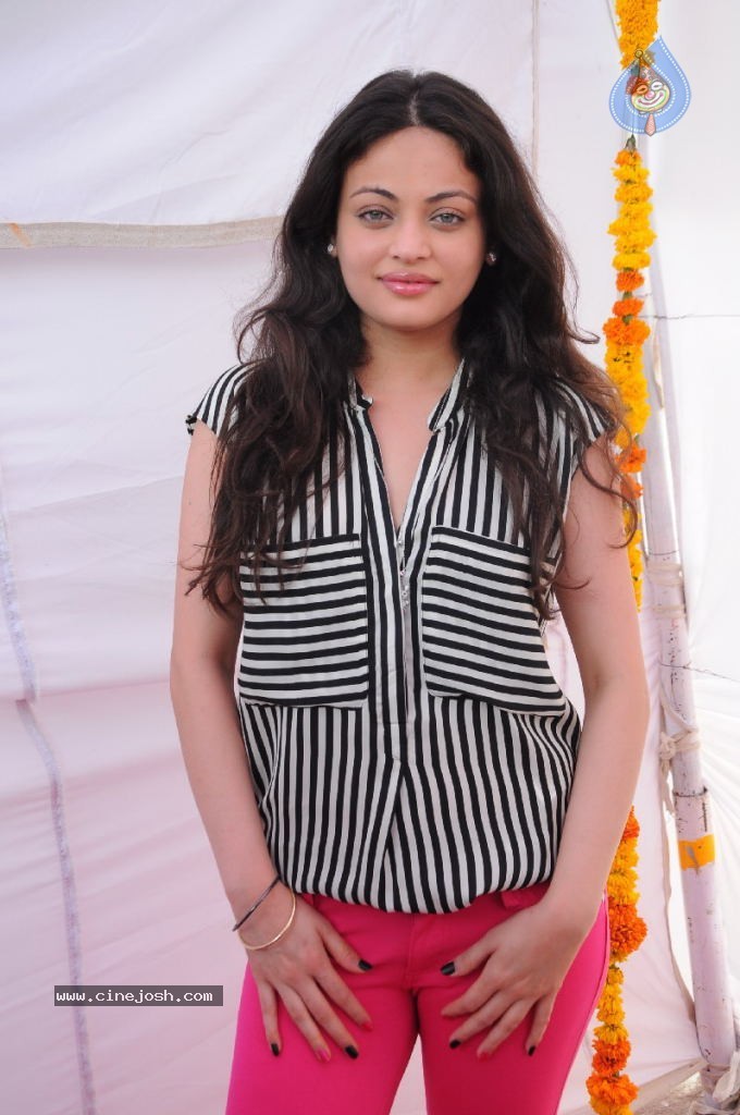 Sneha Ullal New Photos - 40 / 71 photos