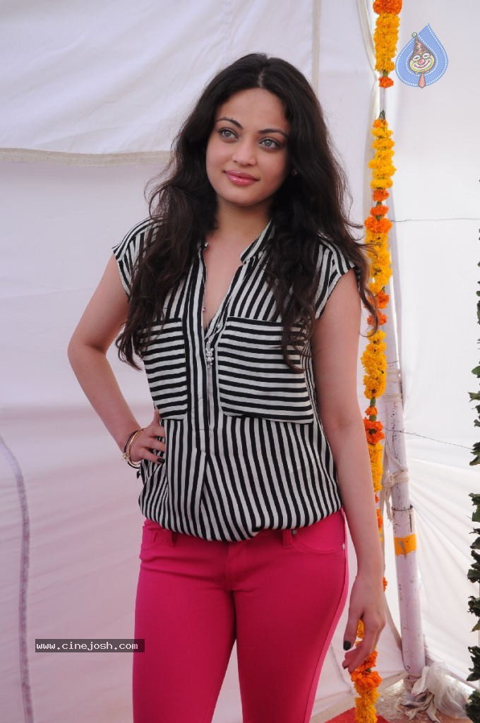 Sneha Ullal New Photos - 43 / 71 photos