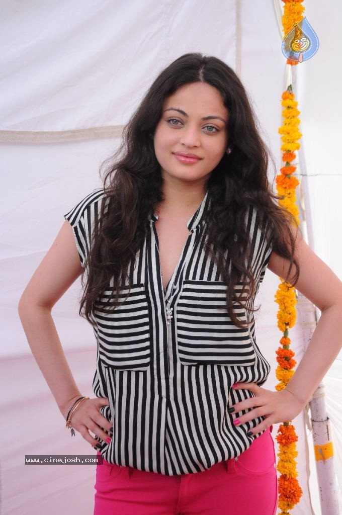 Sneha Ullal New Photos - 44 / 71 photos