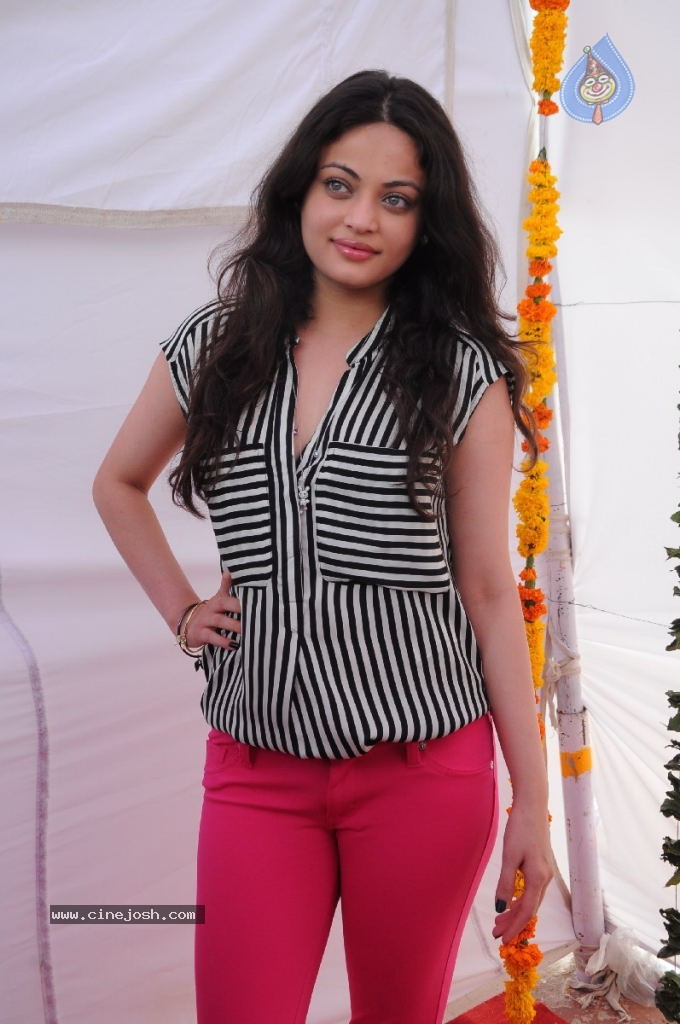 Sneha Ullal New Photos - 53 / 71 photos