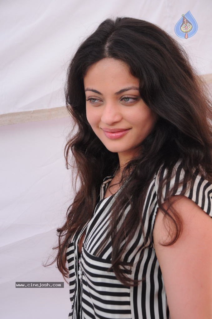 Sneha Ullal New Photos - 56 / 71 photos