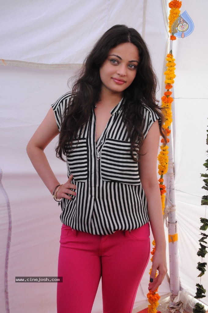 Sneha Ullal New Photos - 66 / 71 photos