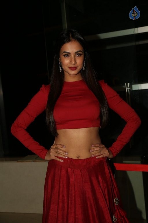 Sonal Chauhan at Size Zero Show - 16 / 40 photos