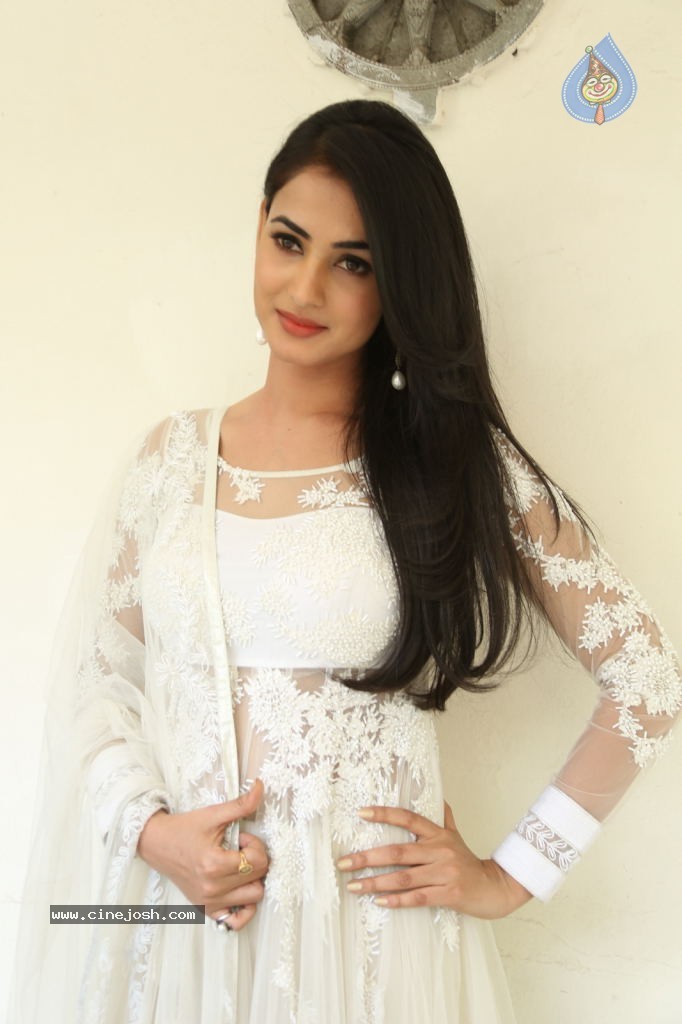 Sonal Chauhan Hot Photos - 25 / 100 photos