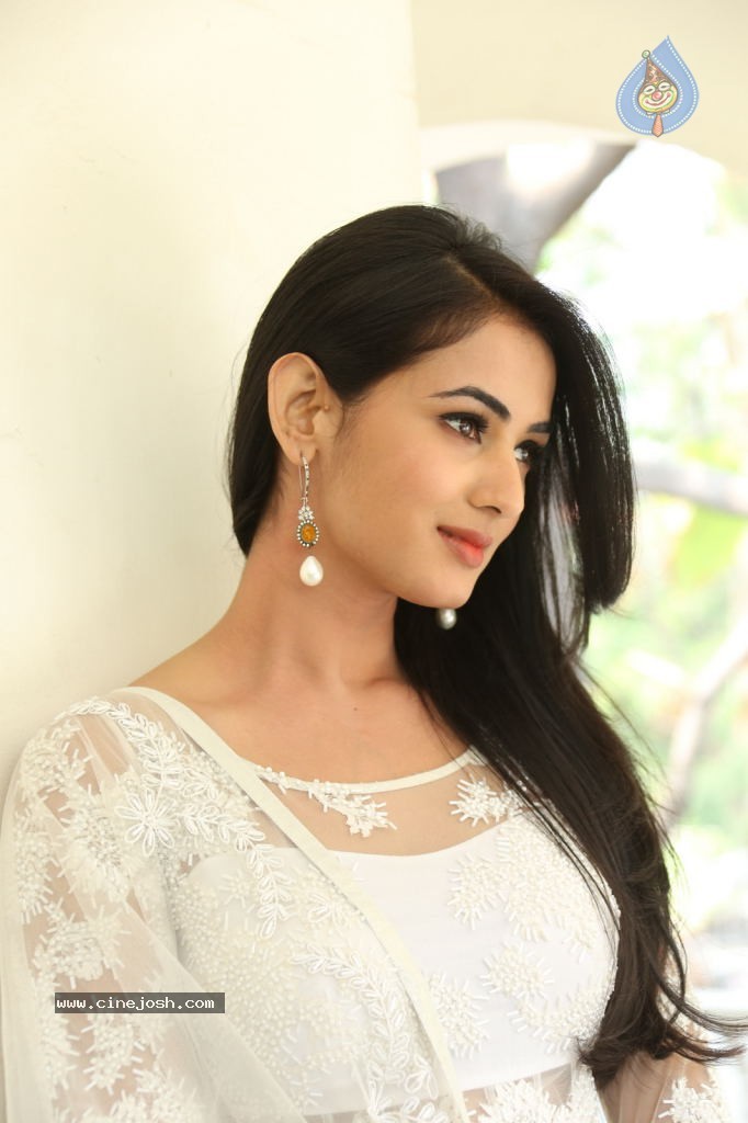 Sonal Chauhan Hot Photos - 31 / 100 photos