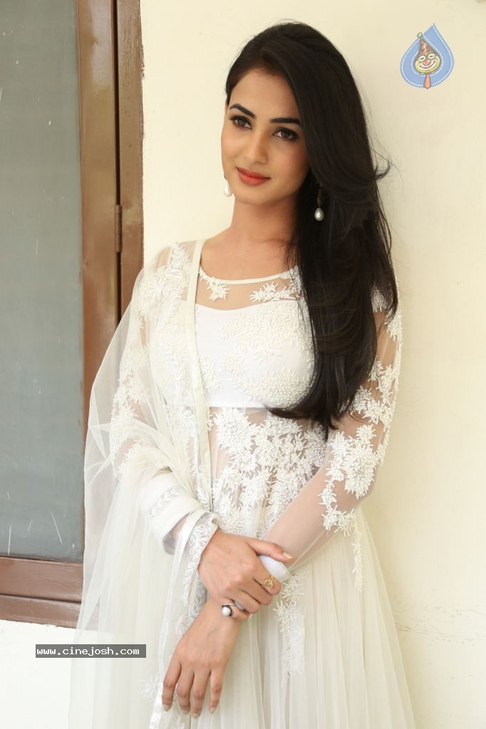 Sonal Chauhan Hot Photos - 39 / 100 photos