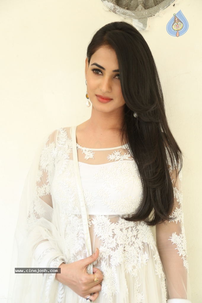 Sonal Chauhan Hot Photos - 40 / 100 photos