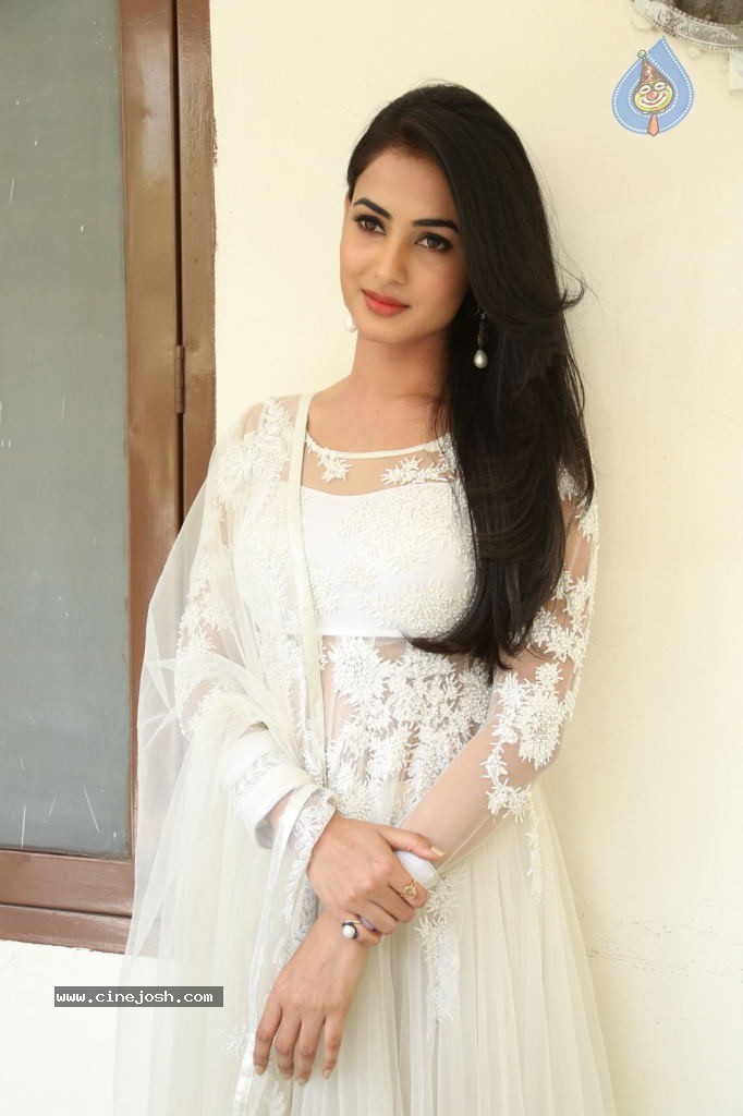 Sonal Chauhan Hot Photos - 41 / 100 photos