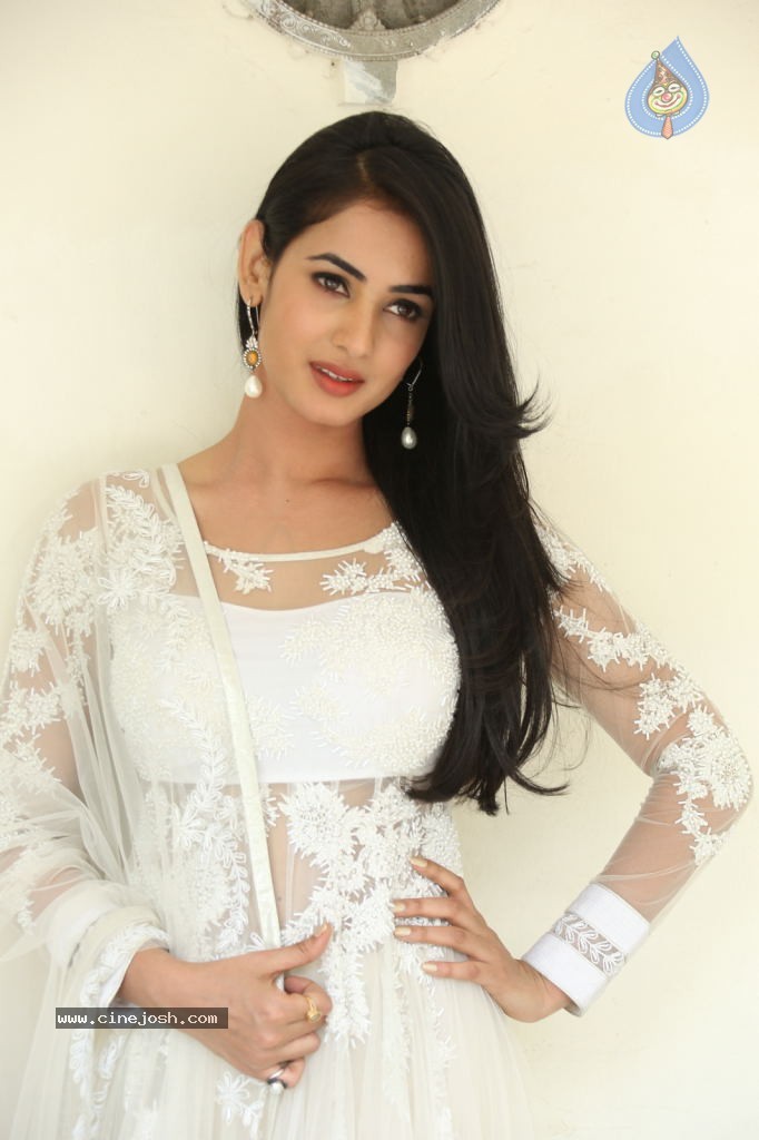 Sonal Chauhan Hot Photos - 43 / 100 photos