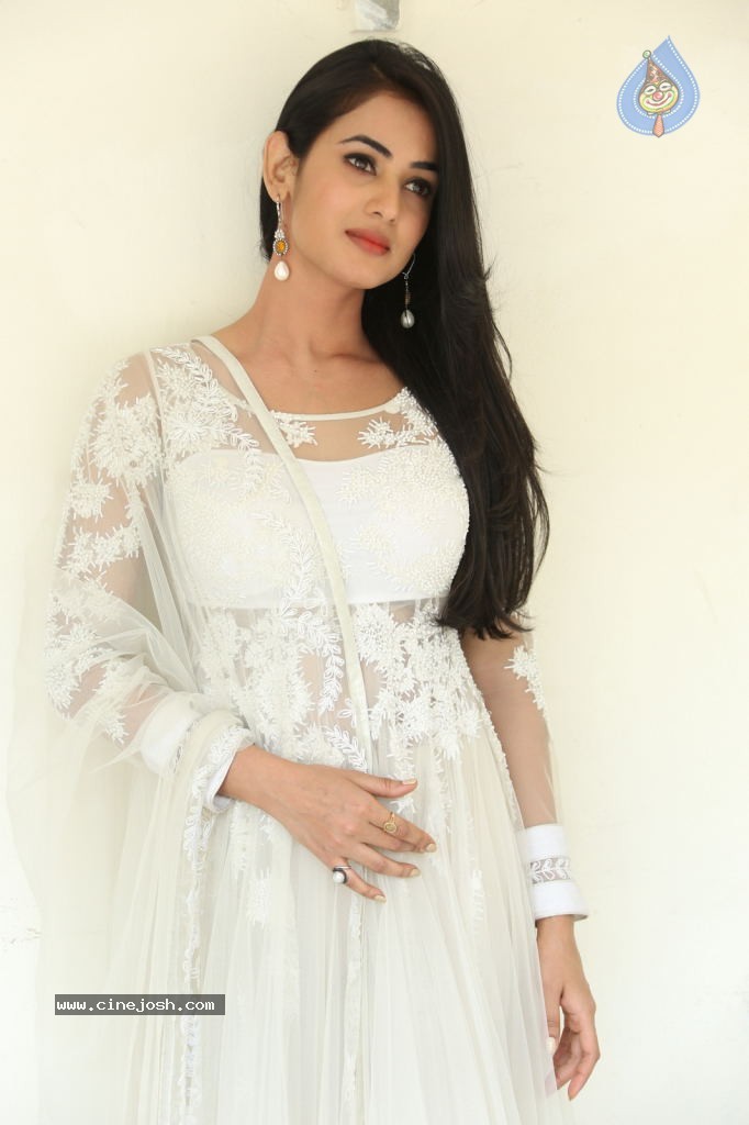 Sonal Chauhan Hot Photos - 53 / 100 photos