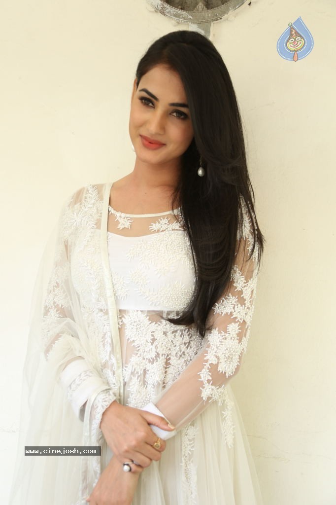 Sonal Chauhan Hot Photos - 54 / 100 photos