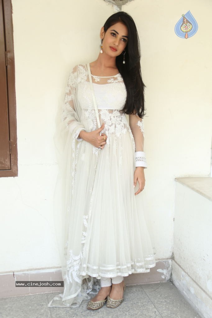 Sonal Chauhan Hot Photos - 76 / 100 photos