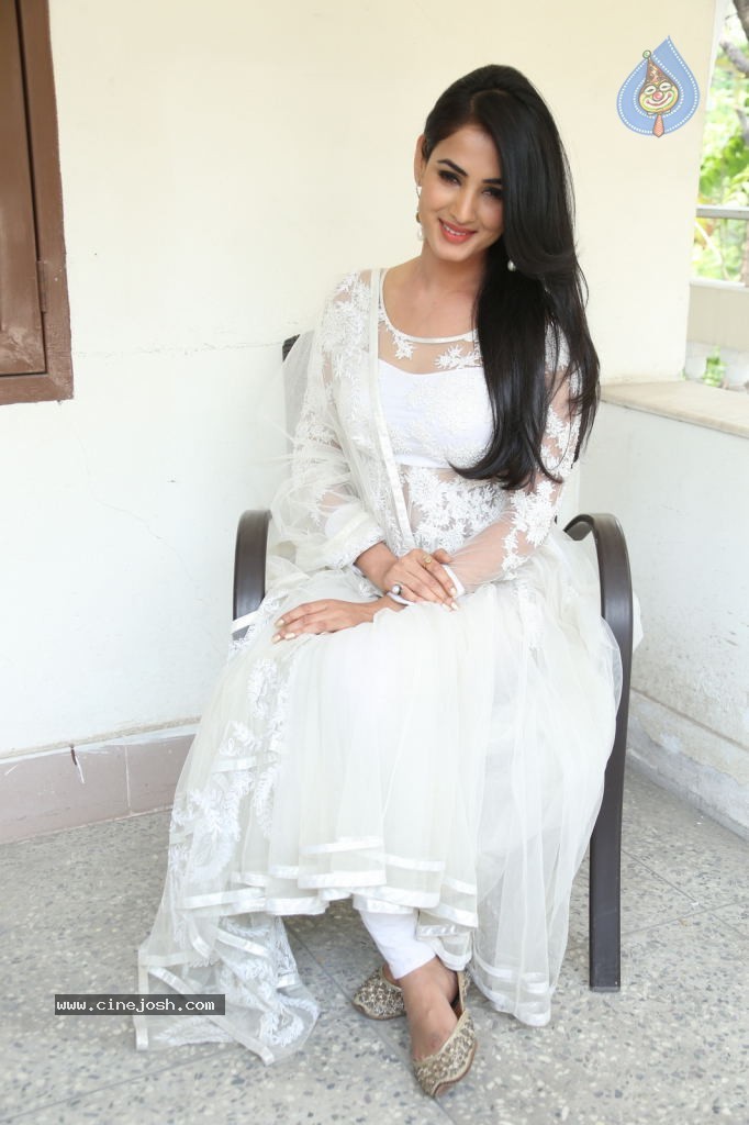 Sonal Chauhan Hot Photos - 82 / 100 photos