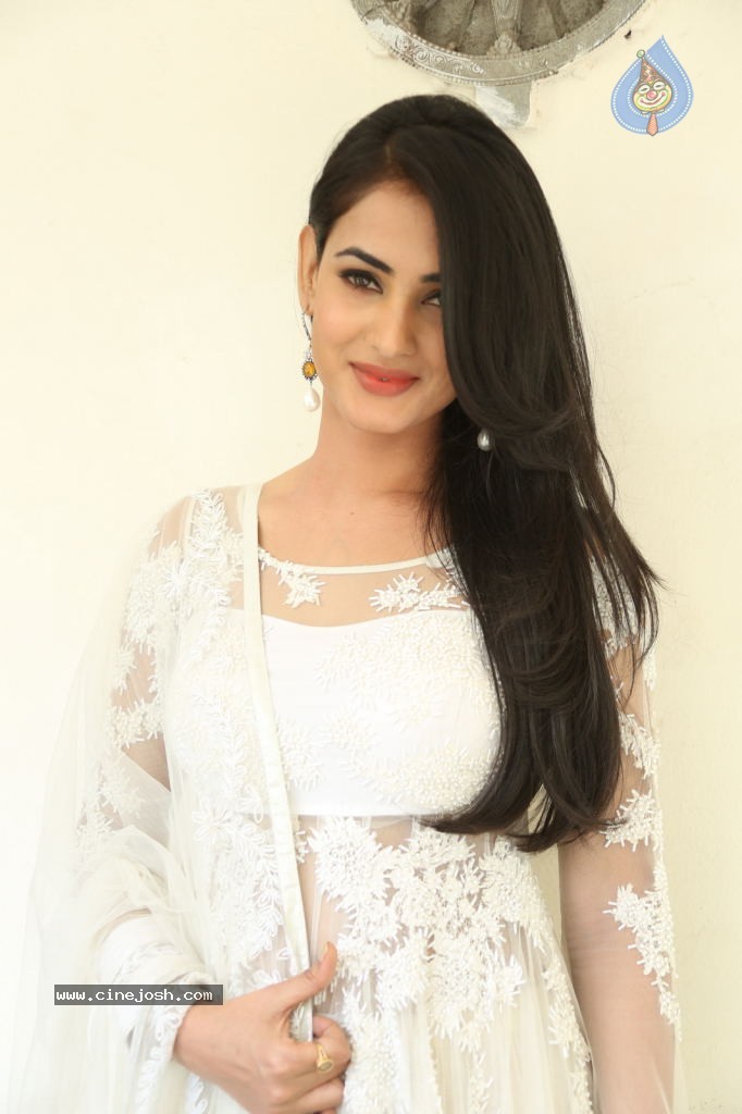 Sonal Chauhan Hot Photos - 97 / 100 photos