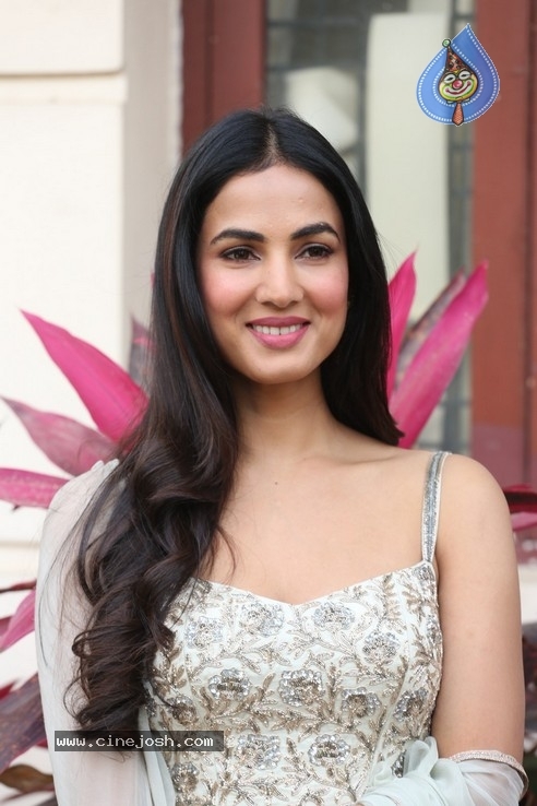 Sonal Chauhan Interview Photos - 19 / 34 photos