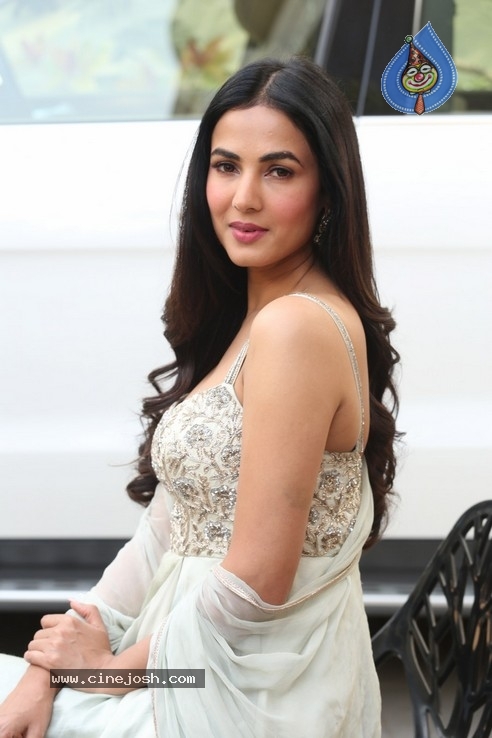 Sonal Chauhan Interview Photos - 22 / 34 photos