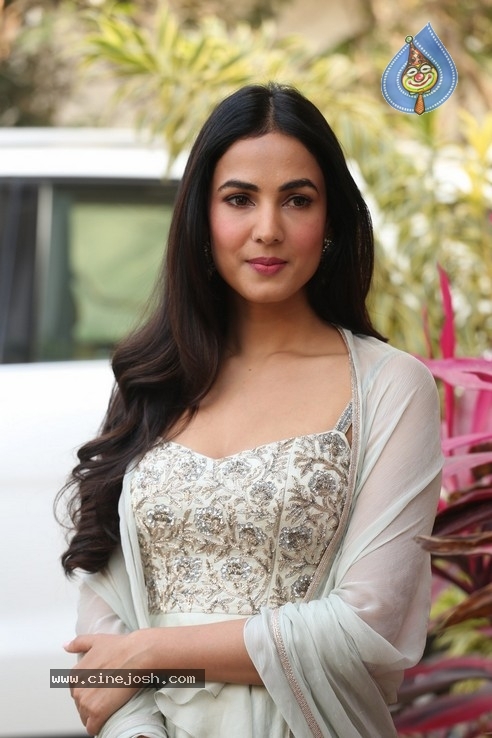 Sonal Chauhan Interview Photos - 23 / 34 photos