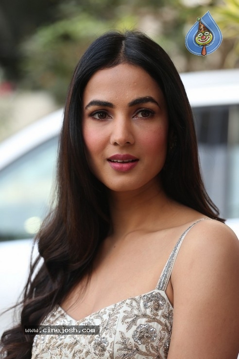 Sonal Chauhan Interview Photos - 25 / 34 photos