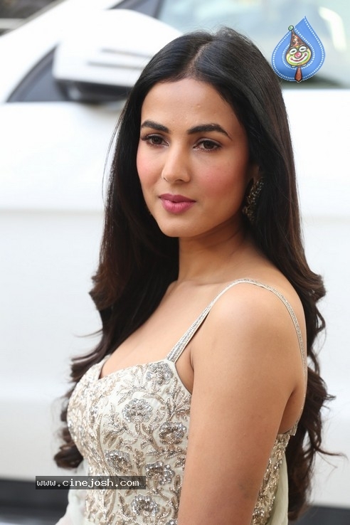 Sonal Chauhan Interview Photos - 33 / 34 photos