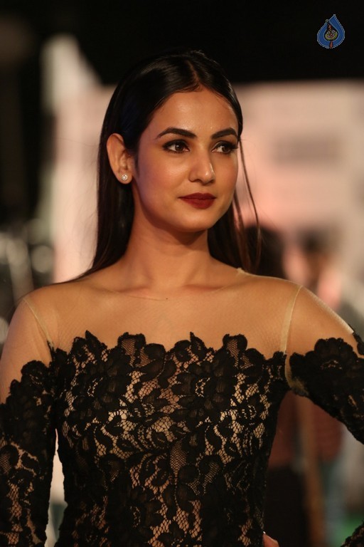 Sonal Chauhan New Gallery - 3 / 30 photos