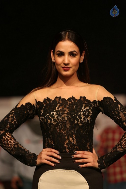 Sonal Chauhan New Gallery - 16 / 30 photos