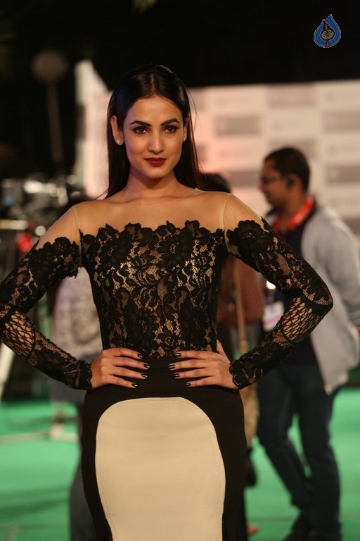 Sonal Chauhan New Gallery - 30 / 30 photos