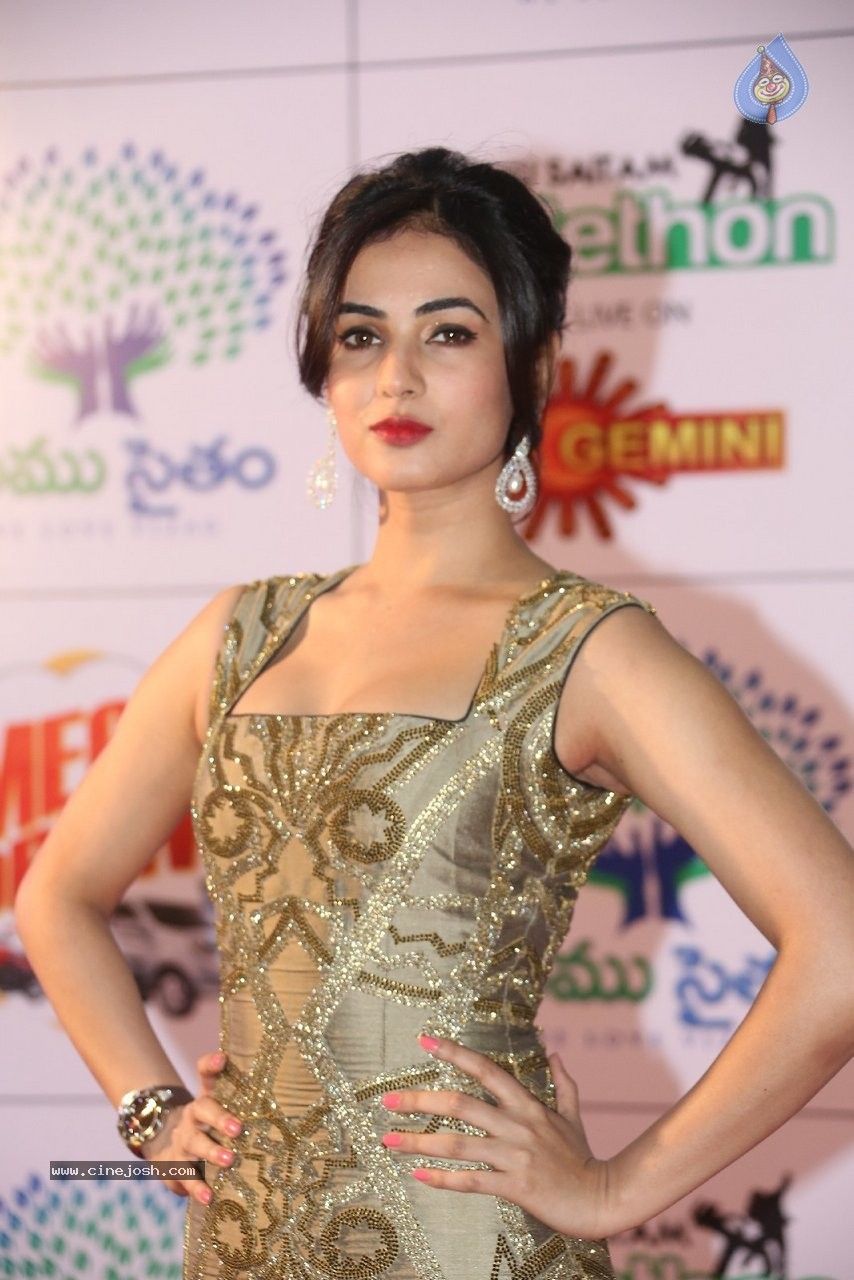 Sonal Chauhan New Stills - 15 / 70 photos