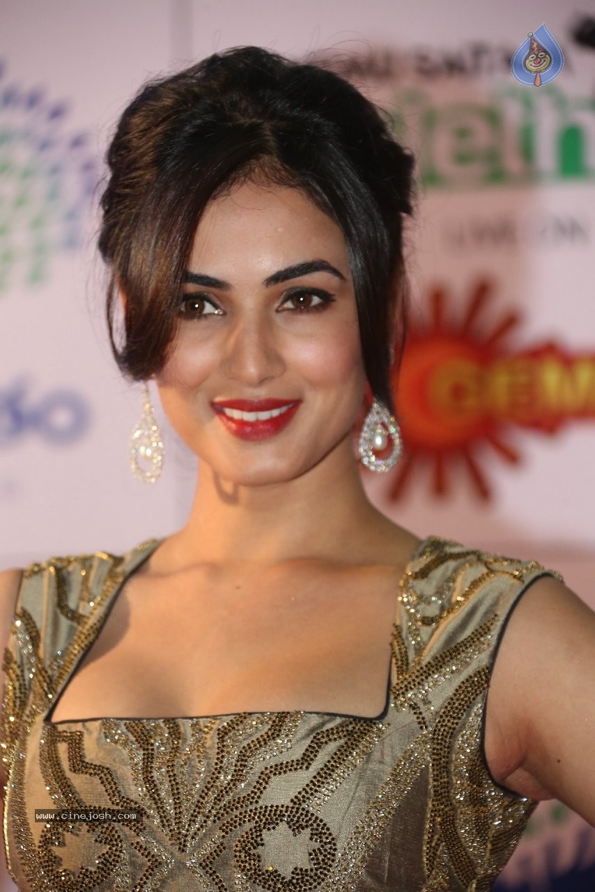 Sonal Chauhan New Stills - 23 / 70 photos