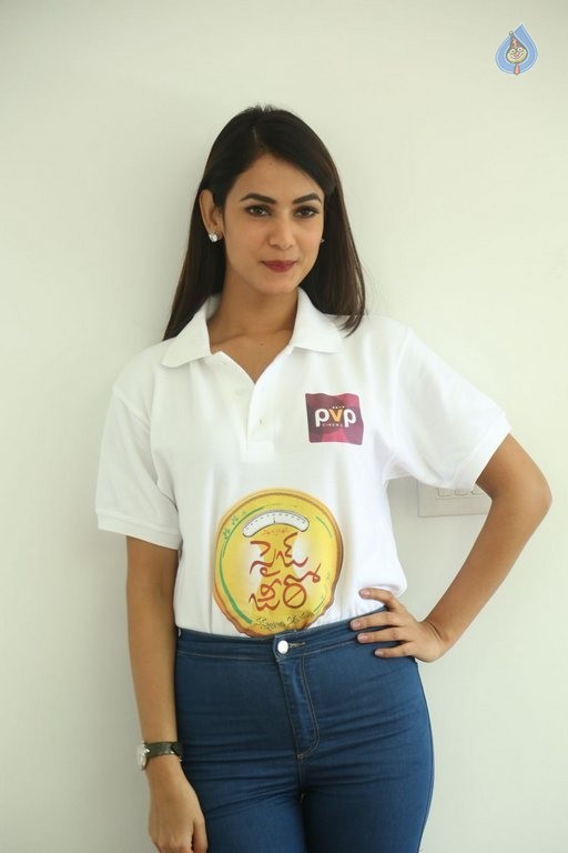 Sonal Chauhan Size Zero Interview Photos - 4 / 63 photos
