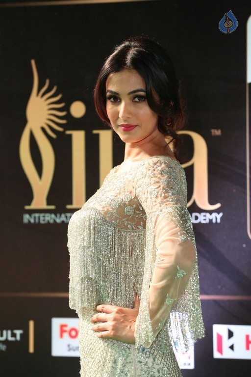 Sonal Chauhan Stills at IIFA 2017 - 26 / 26 photos