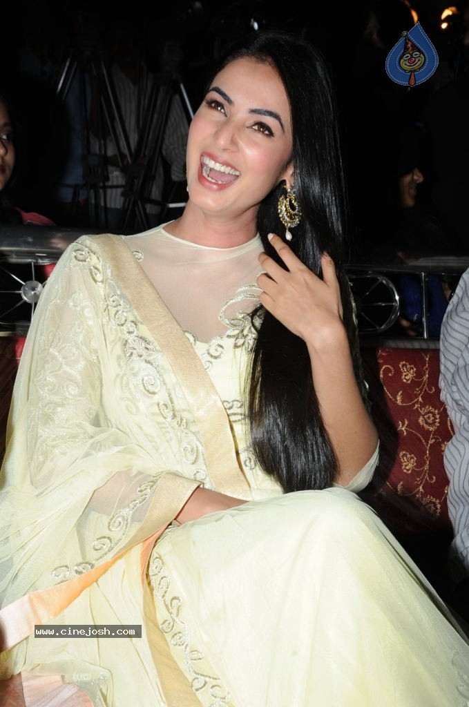 Sonal Chouhan New Stills - 33 / 57 photos
