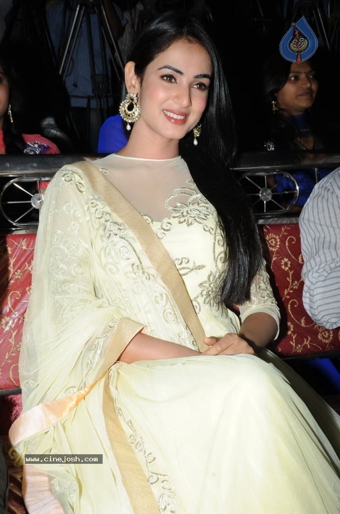 Sonal Chouhan New Stills - 48 / 57 photos