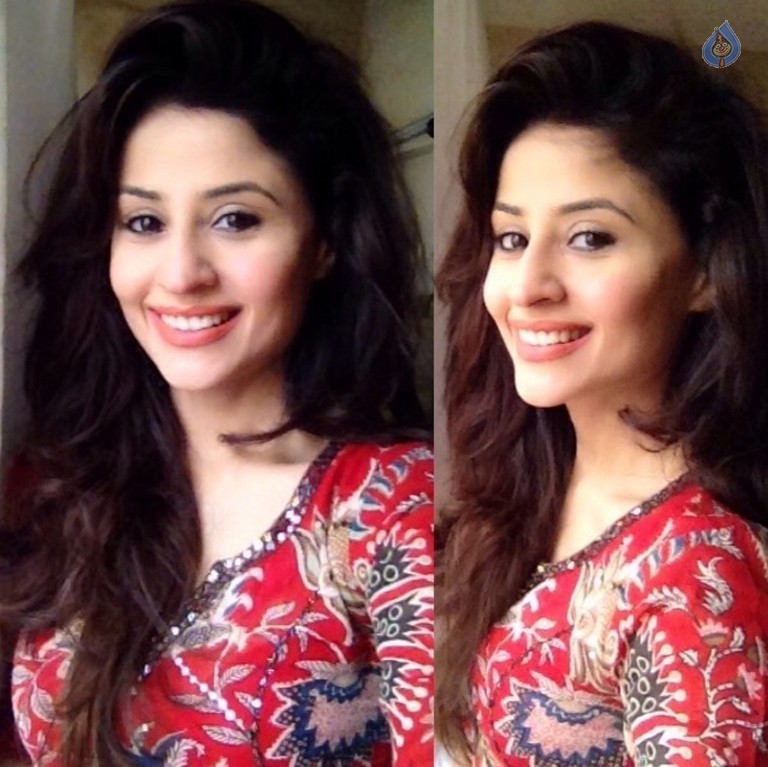 Sonal Minocha Photo Shoot - 6 / 19 photos