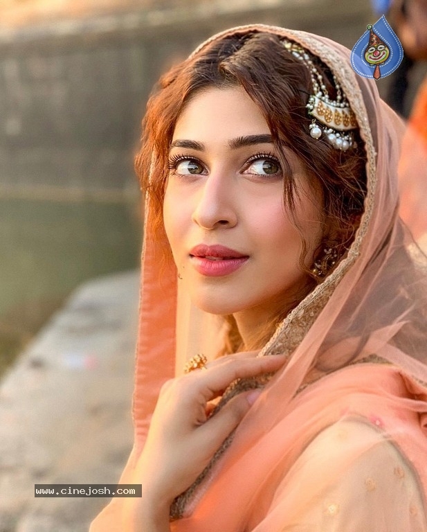 Sonarika Bhadoria Gallery - 14 / 17 photos