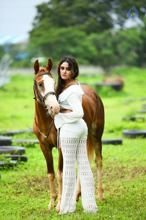 Sony Charishta Glamour Photos - 2 / 6 photos