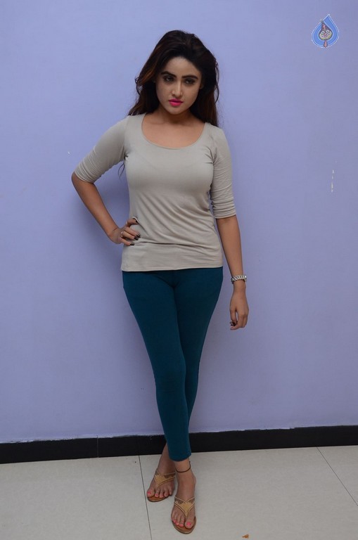 Sony Charishta Latest Gallery - 30 / 42 photos