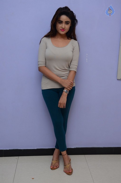 Sony Charishta Latest Gallery - 36 / 42 photos